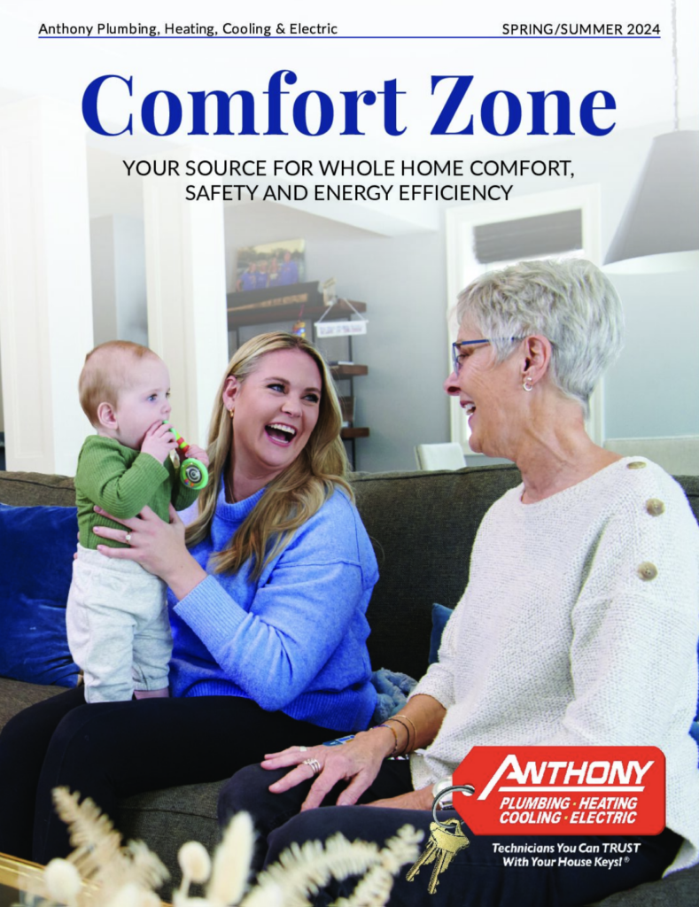 comfort zone pdf